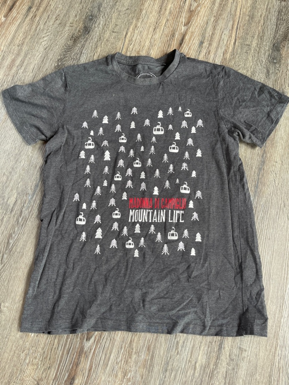 Mountain Life Graphic Tee - Charcoal